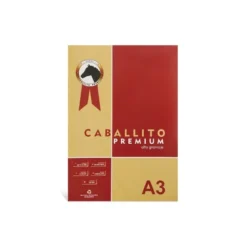 Block A3 caballito premiun 180gr 10hojas